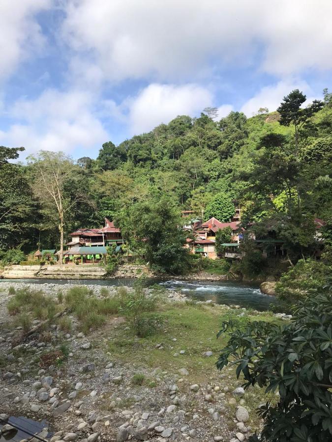 Thomas' Retreat Bukit Lawang Hotel Luaran gambar