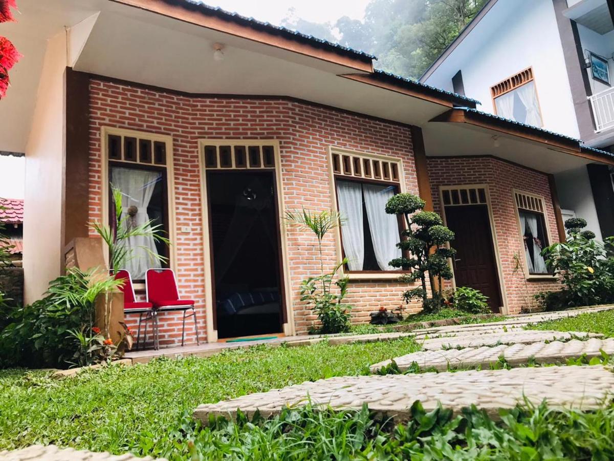 Thomas' Retreat Bukit Lawang Hotel Luaran gambar