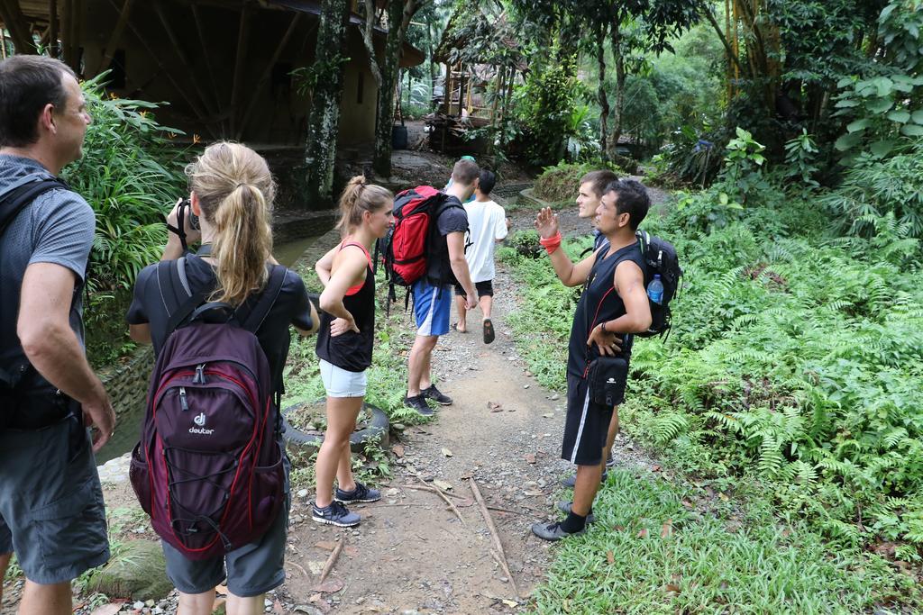 Thomas' Retreat Bukit Lawang Hotel Luaran gambar