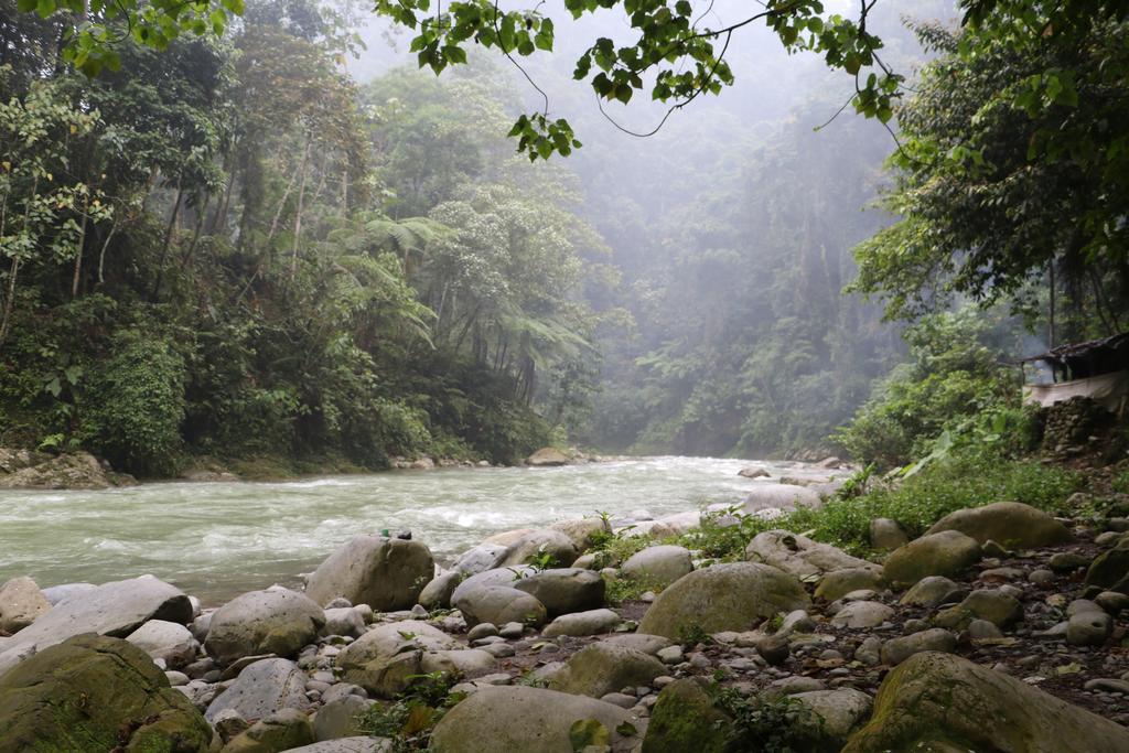 Thomas' Retreat Bukit Lawang Hotel Luaran gambar