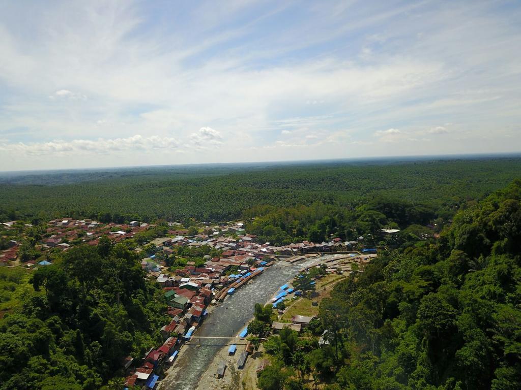 Thomas' Retreat Bukit Lawang Hotel Luaran gambar